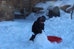 resIMG_20151123_120856_5049.JPG